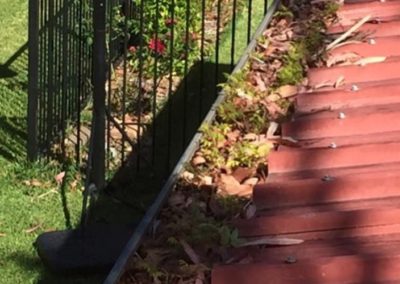 gutter cleaning