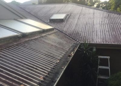 roof cleaning before